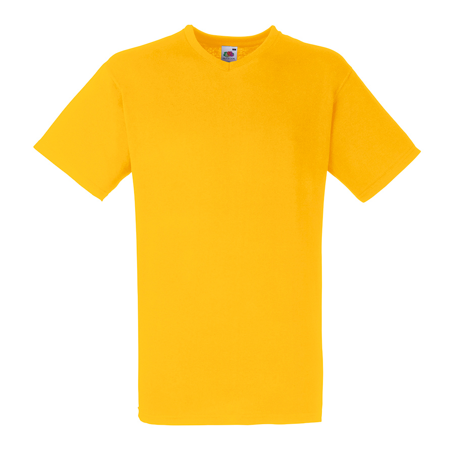 61066-VALUEWEIGHT V-NECK T